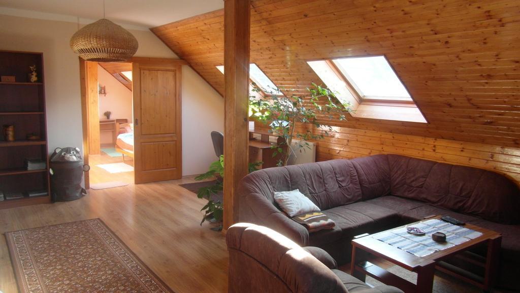 Apartment Rychtrovna 海尼采 客房 照片