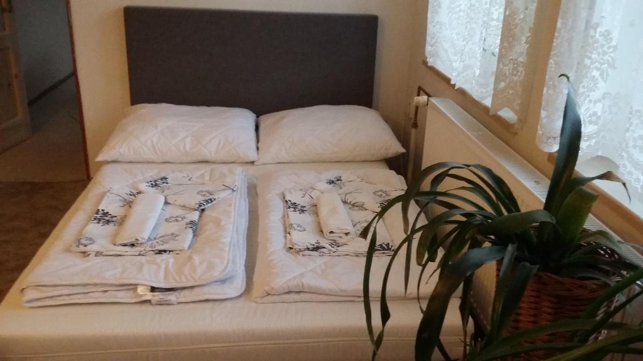 Apartment Rychtrovna 海尼采 外观 照片
